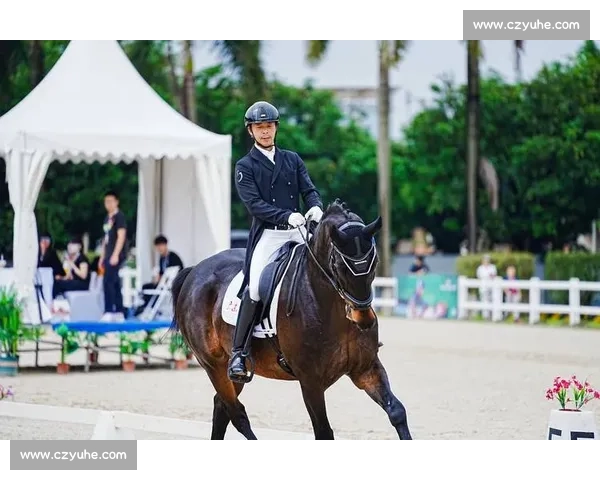 锦标赛落幕，教练支招青少年马术进阶
